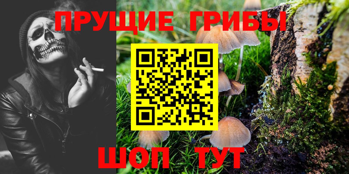 Галлюциногенные грибы Magic Shrooms Клин