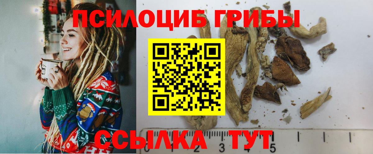 Клин  Галлюциногенные грибы GOLDEN TEACHER  Псилоцибиновые грибы мицелий  Вход с VPN 